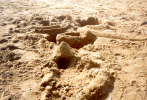 Sandburg 2