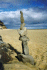 Fuerteventura 2