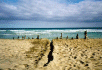 Fuerteventura 3