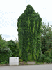 Trafoturm mit gruenem Pelz in Horn