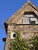 Tierhotel Wilhelmsdorf 2